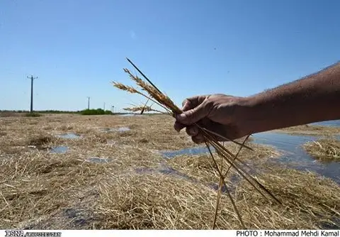 مسئولان محلى با باز کردن دریچه‌های سد دز دهها روستا و مزارع اهواز را غرق و ويران کرده اند